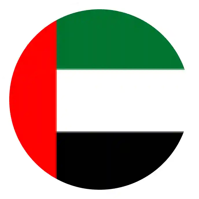 dubaiFlag